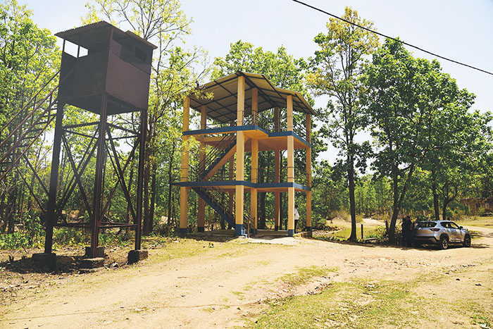 SUTAN FOREST